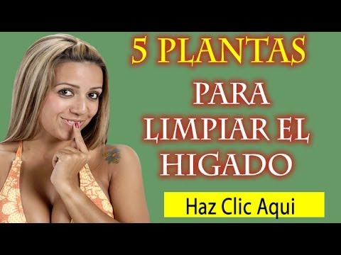 5 plantas que ayudan a limpiar el hígado