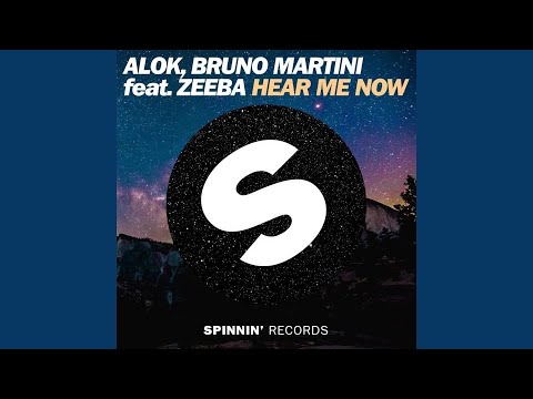 Alok, Bruno Martini ft. Zeeba - Hear Me Now (Instrumental)