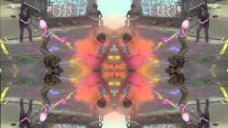 daily routine - animal collective