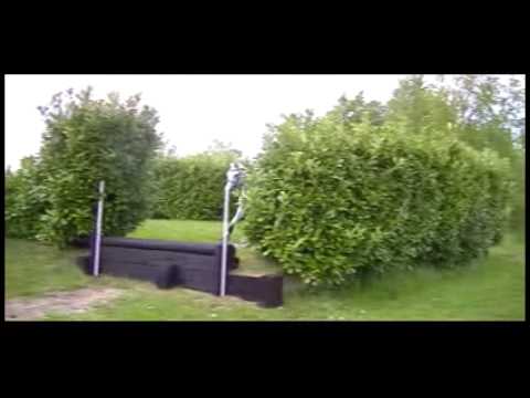 Scylla d'ouilly first time xc schooling 23.05.15