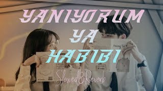 Download lagu YANIYORUM YA HABIBI *Slowed & Reverb /Best /Turkish song *New Remix mp3