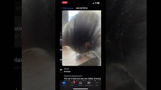 Emergency Pet Health Check with AI 🐾 | PetAI App Demo