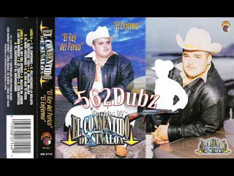 El Consentido de Sinaloa -  El Rey del Perico