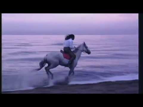 download lagu mp3 mp4 Double You Missing You, download lagu Double You Missing You gratis, unduh video klip Double You Missing You