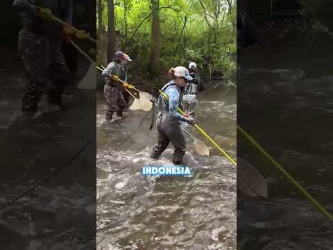 Fishing with Electrocution is Legal in America