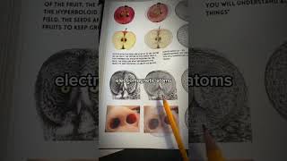 Thoughts on this? 🤔 🌀 Nature’s divine pattern: the Fibonacci sequence (0,1,1,2,3,5,8,13...) where