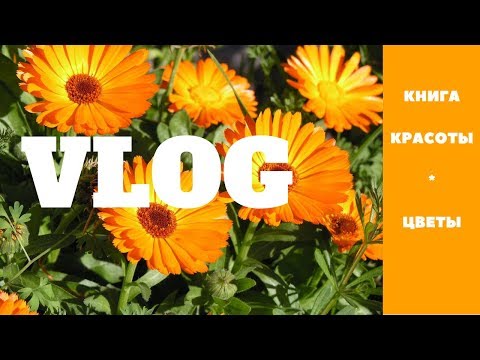 VLOG  Книга красоты от 1963 года. Расцвели  ноготки. Аромат от Орифлейм.