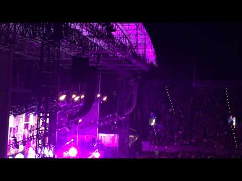 Morrissey Forest Hills 2019 Lady Willpower