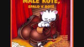Malé kotě, spalo v botě Malé kotě, spalo v botě