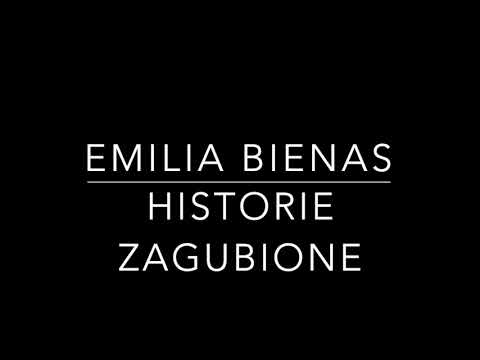 Historie zagubione- Emilia Bienas