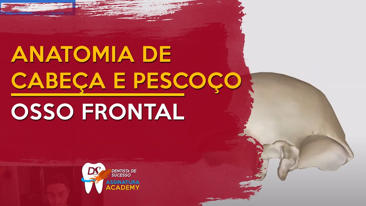 Osso frontal | ANATOMIA DE CABEÇA E PESCOÇO