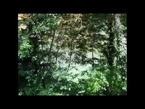 Cazare vile Caciulata Calimanesti ieftina, pensiuni, hoteluri, statiune balneara, piscina termala