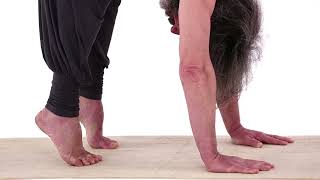 PIEDI, PUNTE-TALLONI STATICA