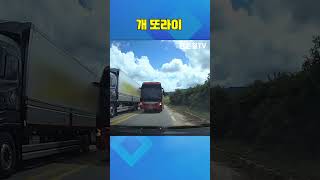 한문철 예비살인마