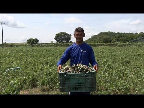 Internos da Colônia Agrícola de Altos produzem alimentos por aspersão e gotejamento 17 12 2022