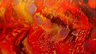 Deerhunter - Cover Me (Slowly) / Agoraphobia