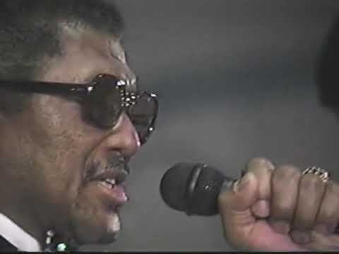 Lights Are Low---El Dorados—LIVE—1994