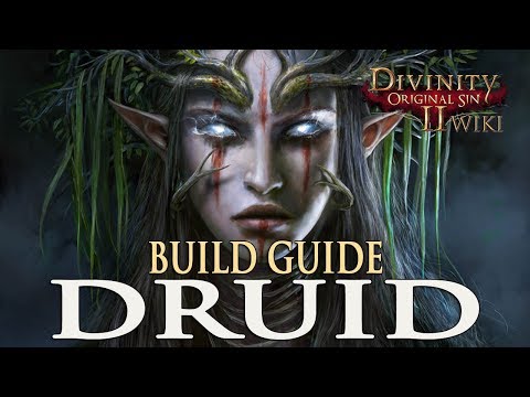 Divinity Original Sin 2 Builds - Druid (Mage/Summoner)