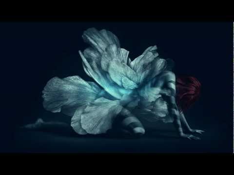 Triamer - The Collab EP