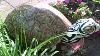 preview picture of video 'Totally Turtles 2010 Midland, Michigan'