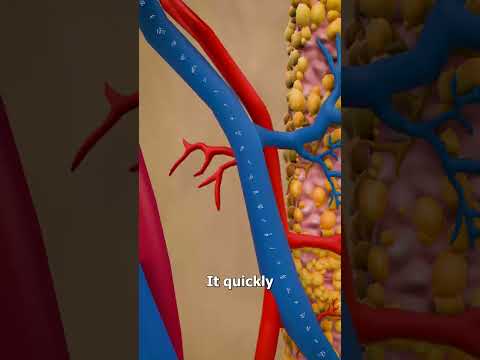 How A Nicotine Patch Works 🤔