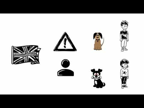 Les déterminants possessifs en anglais