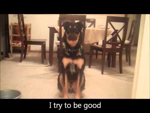 060611 test movie with Wawa