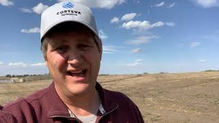 Prospect™ Pre-seed for Canola with Mark Johns