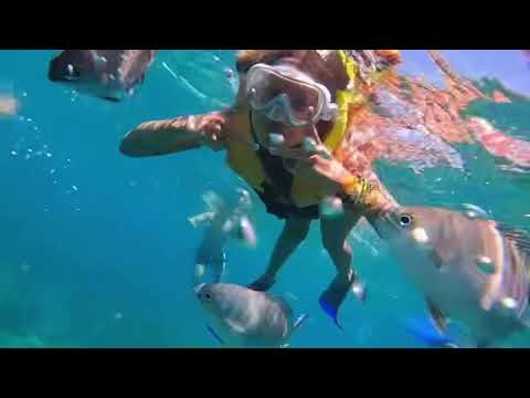 Flores Del Sol - Vacaciones 2025