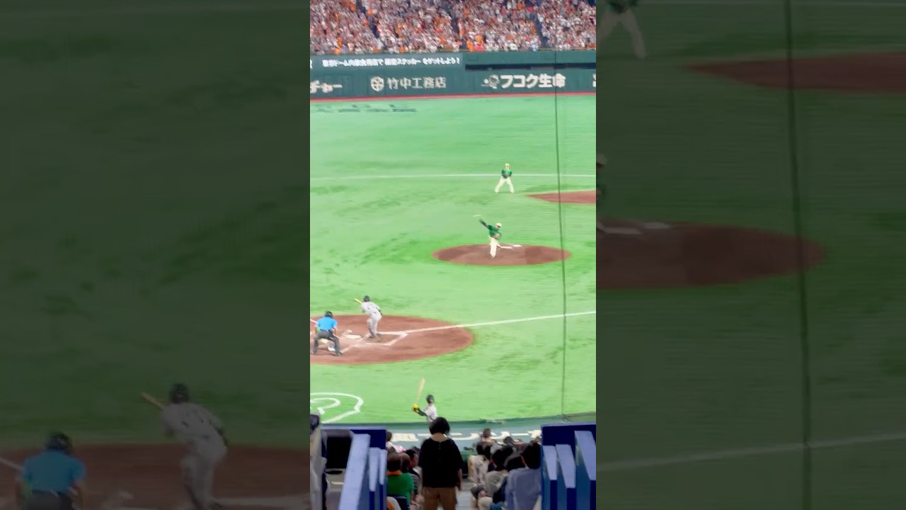 Crossing a Big One Off the Bucket List: Seeing Nippon Professional Baseball Live at the Tokyo Dome! 🏟️⚾️
