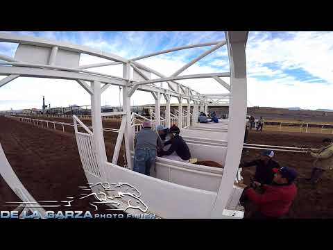 LA SOMBRA VS EL MARQUEZ 130 VARAS AVALOS RACE TRACK CHIHUAHUA 31 DE DICIEMBRE DEL 2017