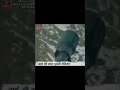 Rajputana Rifles Kargil War Thakur Rajput Rajputana Viral Rajputi Kargil India Indianarmy
