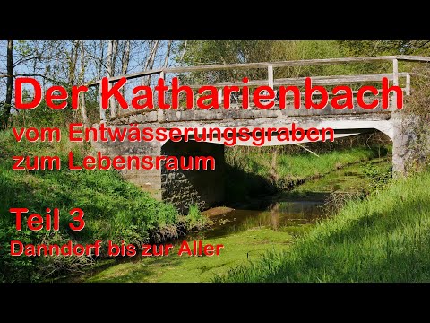 Der Katharienbach Teil3 Danndorf bis zur Aller
