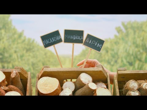 Mandioca? Cervejaria Colorado #Desiberne CAUIM