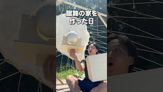 Download lagu The Day I Built a House for My Kemari 🏠 mp3 Download lagu The Day I Built a House for My Kemari 🏠 mp3