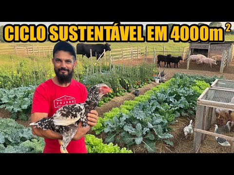 EM 4 MIL m2 ELE TEM SÍTIO AUTOSSUFICIENTE