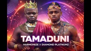 Download lagu Harmonize x Diamond Platnumz – Tamaduni | Clip Officiel | AI Visualizer mp3