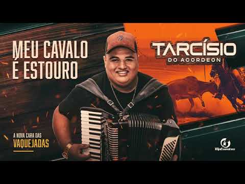Tarcísio do acordeon música meu cavalo estouro