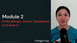 Download the video "LLM Module 2 - Embeddings, Vector Databases, and Search | 2.2 Module Overview"