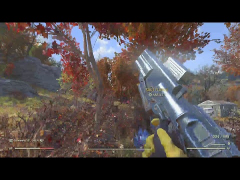 Fallout 76 free roam