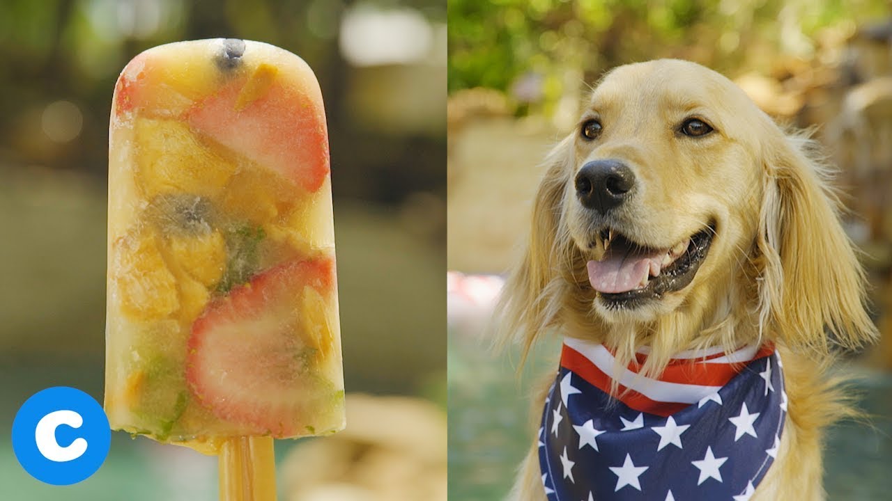 Delicious Frozen ‘Pupsicle’ Treat for Dogs BeChewy