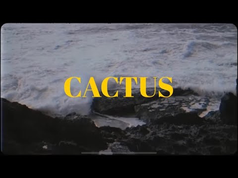 Video thumbnail for Cactus