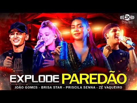 O Melhor do Piseiro - Brisa Star - Priscila Senna - João Gomes - ZÉ Vaqueiro e Vitor Fernandes 2022