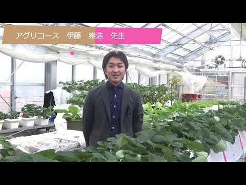 25 伊藤（崇浩）先生