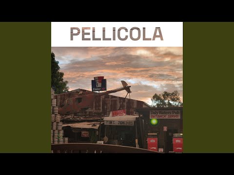 PELLICOLA