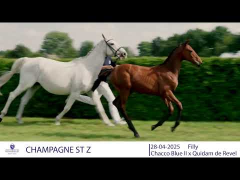 CHAMPAGNE ST Z