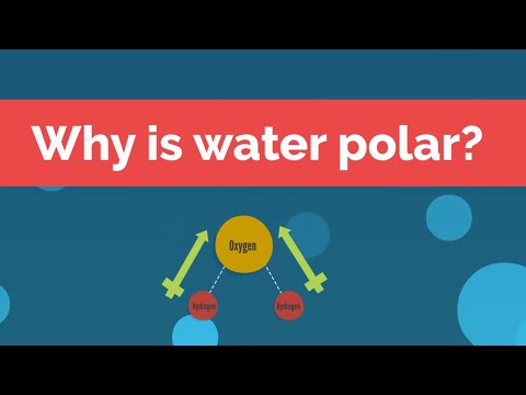 Why is water polar?