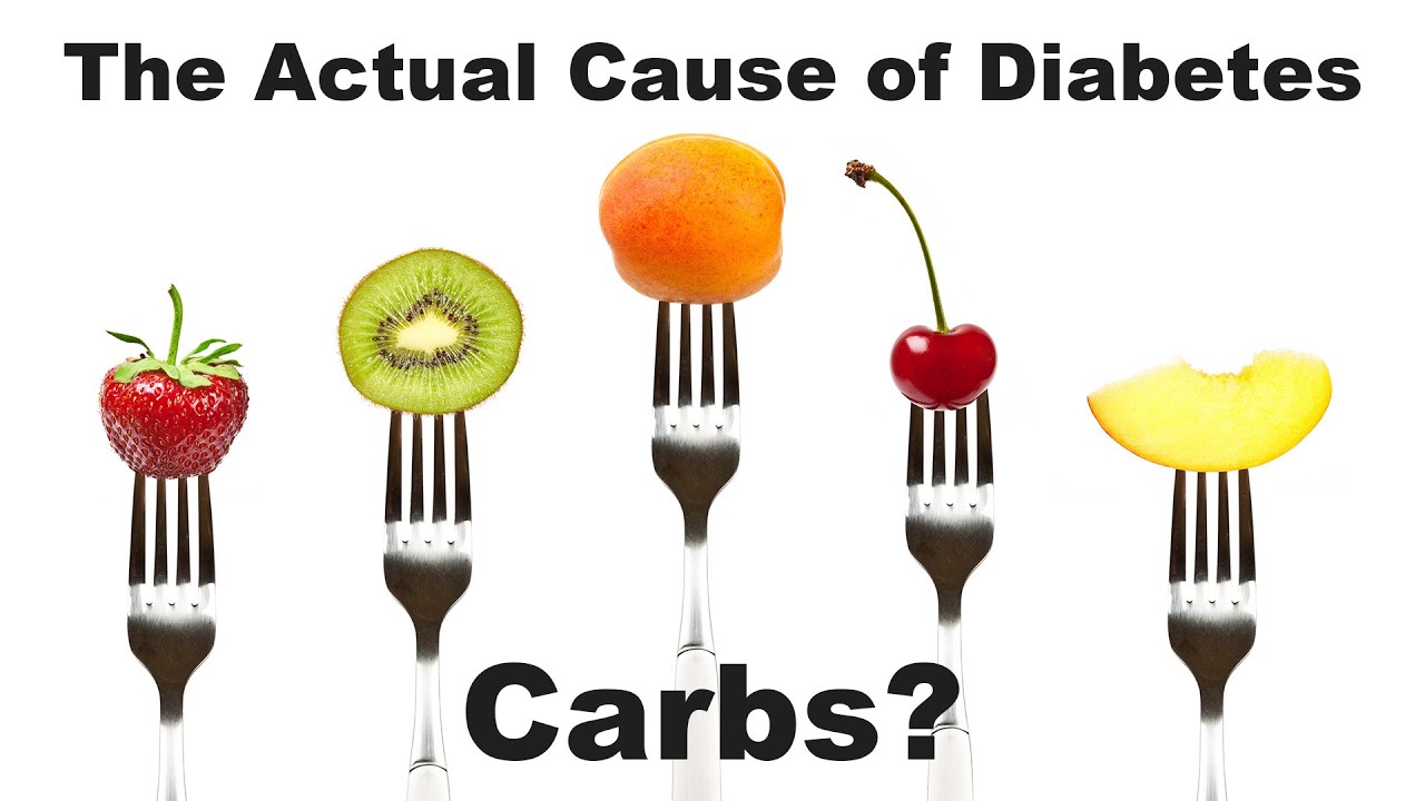 The ACTUAL Cause of Type 2 Diabetes. Carbs?
