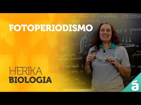 , title : 'Fotoperiodismo - Prof. Herika'