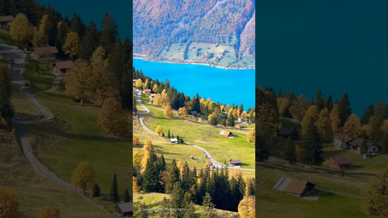 YouTube Short thumbnail